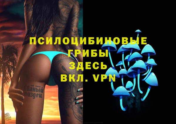 амф Балахна