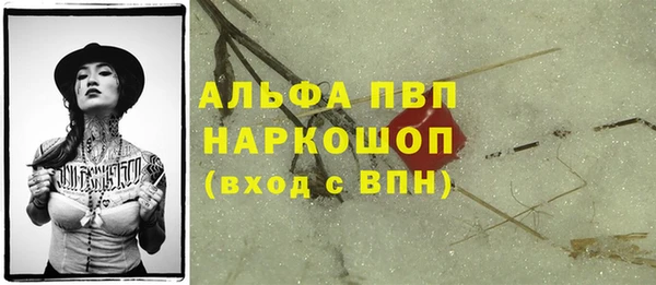 амф Пестово
