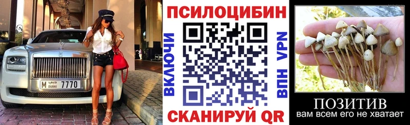 Псилоцибиновые грибы прущие грибы  купить  сайты  Вязники 